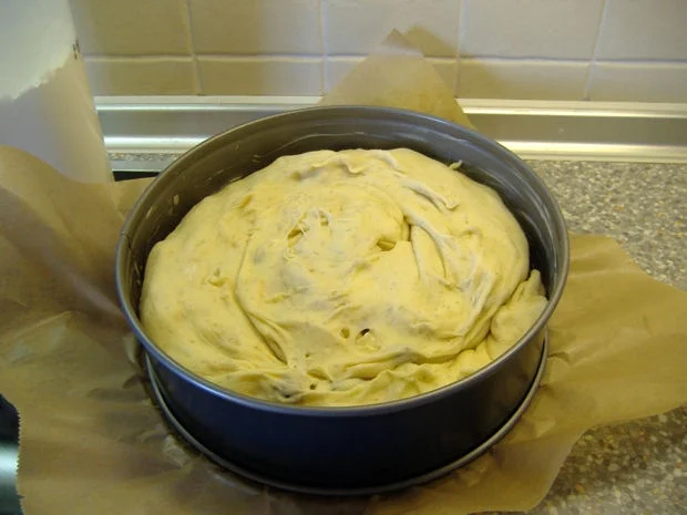 Rezept: Hefe-Apfel-Schnecke Bild Nr. 9 Hefe-Apfel-Schnecke - Rezept - Bild Nr. 9