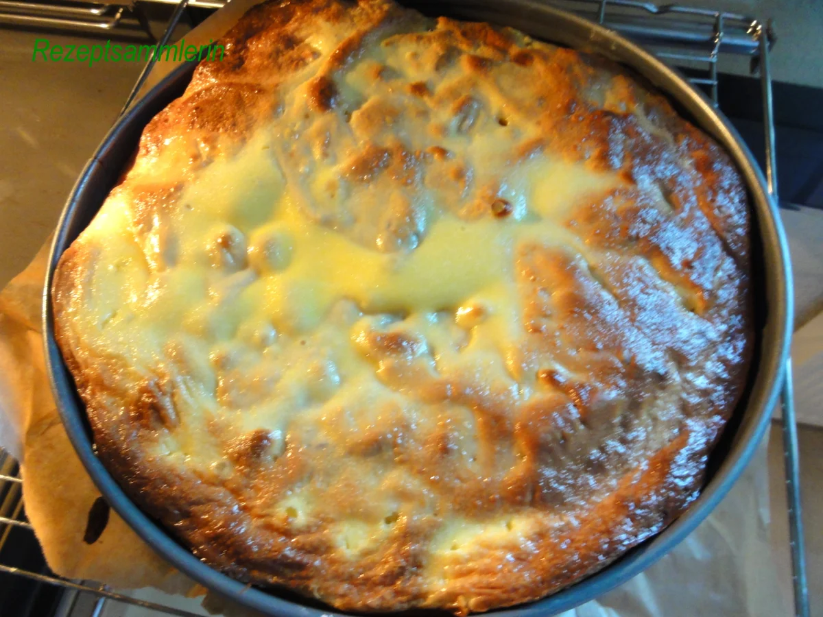 Rezept: Hefe-Apfel-Schnecke Bild Nr. 14 Hefe-Apfel-Schnecke - Rezept - Bild Nr. 14