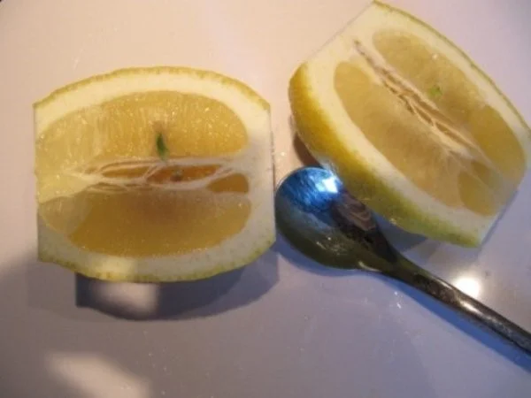 Apfelsüppchen plus Einlage (geeist) - Rezept - Bild Nr. 17