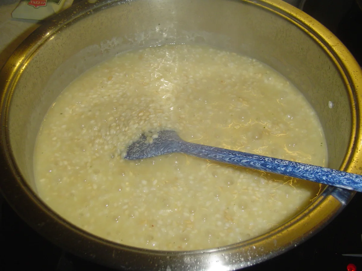 Rezept: Putenfilet mit Lauchrisotto Bild Nr. 9 Putenfilet mit Lauchrisotto - Rezept - Bild Nr. 9