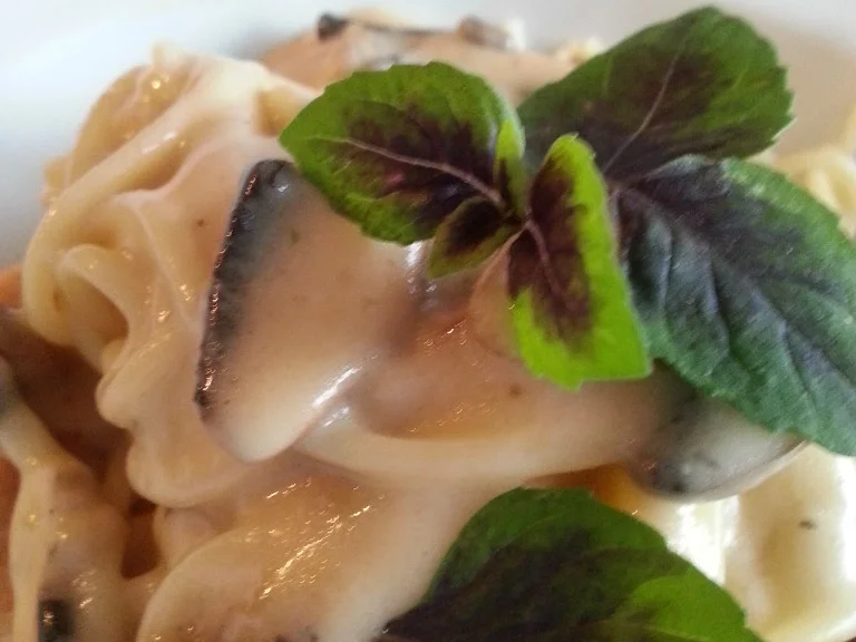 Putenbrust Schnitzel mit Manchego Pilzcreme Sosse à la Biggi - Rezept - Bild Nr. 3