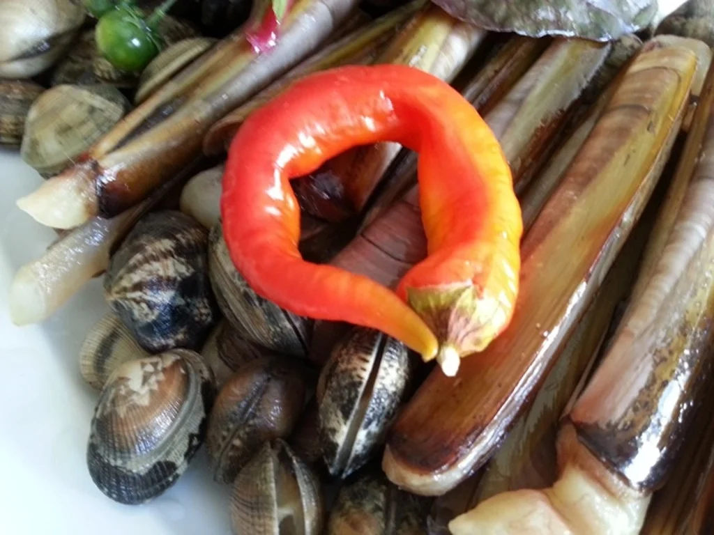 Cataplana (1te) Variante mit Meeresfrüchten à la Biggi - Rezept - Bild Nr. 3