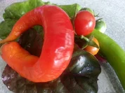 Cataplana (1te) Variante mit Meeresfrüchten à la Biggi - Rezept - Bild Nr. 5