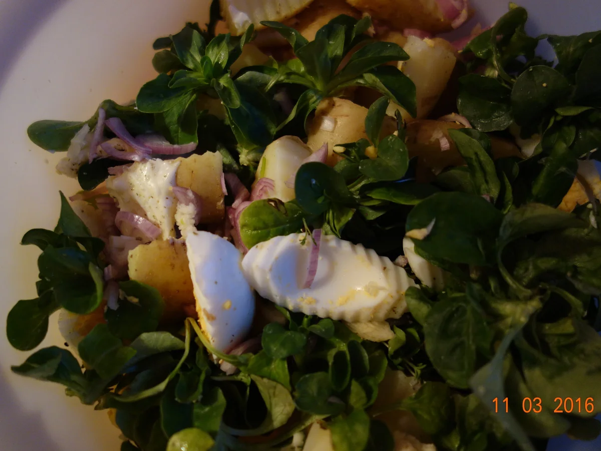 Rapunzelsalat nach Waltl; - Rezept - Bild Nr. 9