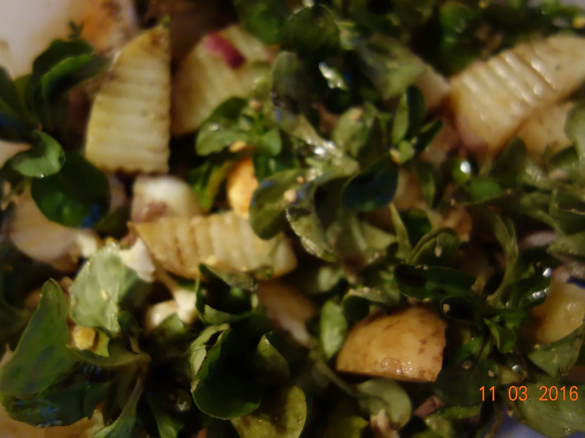 Rapunzelsalat nach Waltl; - Rezept - Bild Nr. 10