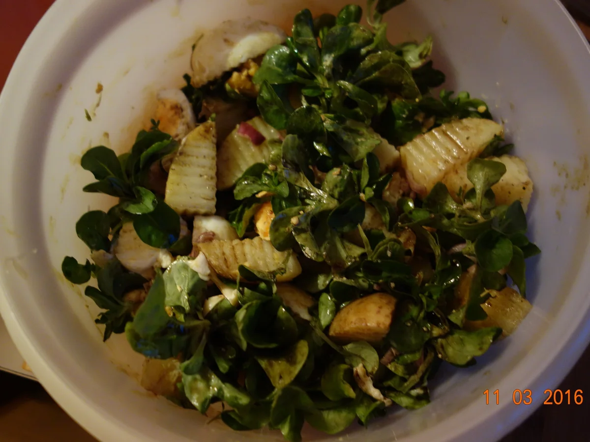 Rapunzelsalat nach Waltl; - Rezept - Bild Nr. 11