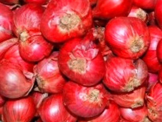 Rotwein Zwiebeln à la Biggi - Rezept - Bild Nr. 3