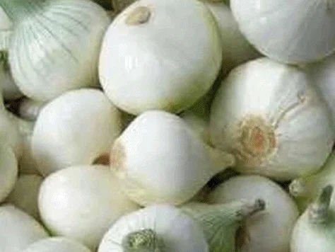 Amsterdammer Zwiebeln à la Biggi - Rezept - Bild Nr. 5