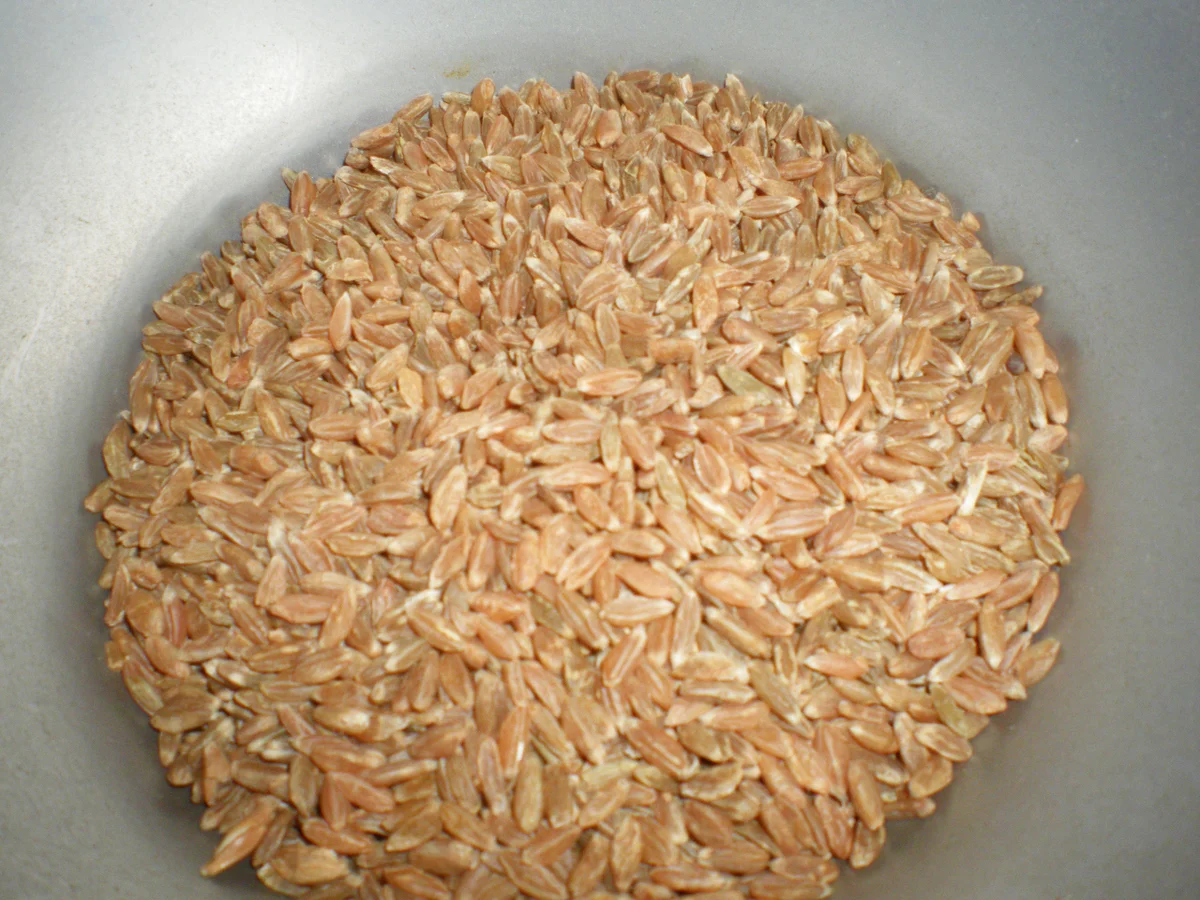 Rezept: grünkernpflanzerl Bild Nr. 4 grünkernpflanzerl - Rezept - Bild Nr. 4