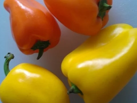 Möhren Ananas Salat - Rezept