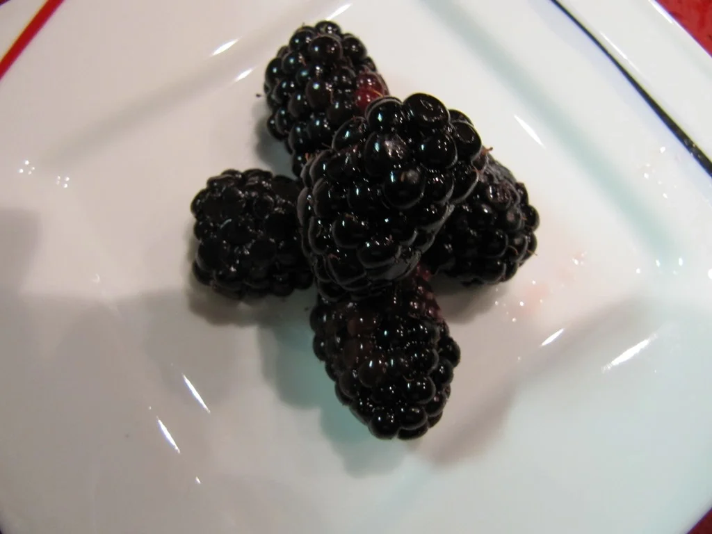 Rezept: Brombeer Pudding Bild Nr. 5 Brombeer Pudding - Rezept - Bild Nr. 5