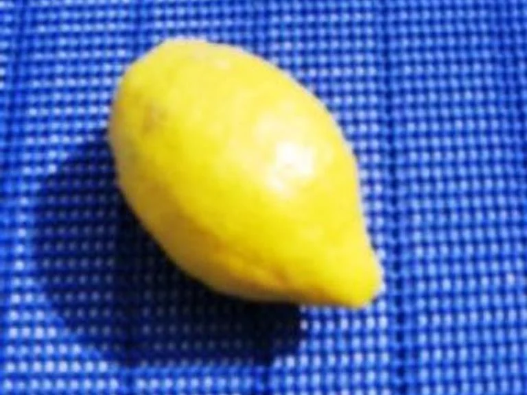 Rezept: Brombeer Pudding Bild Nr. 2 Brombeer Pudding - Rezept - Bild Nr. 2