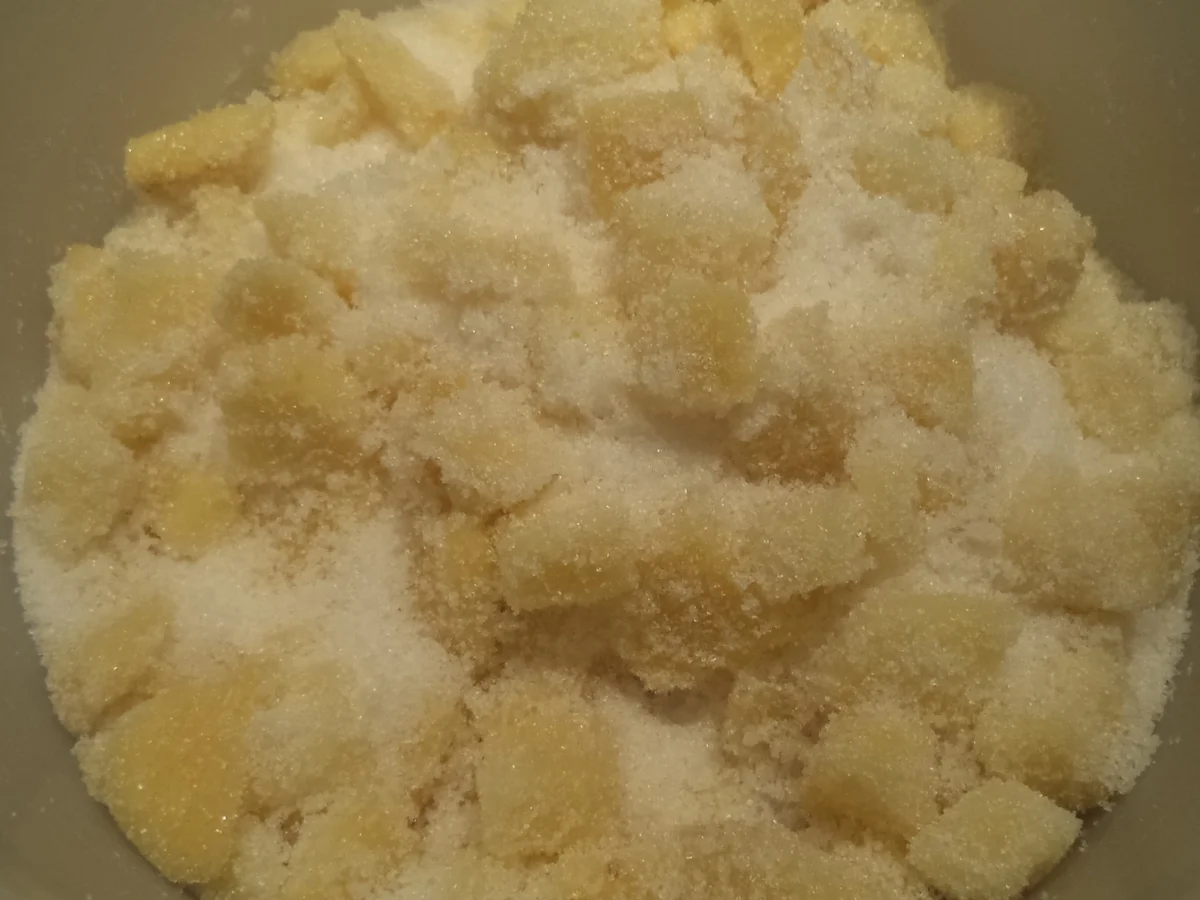 Ingwerpaste - Rezept - Bild Nr. 2