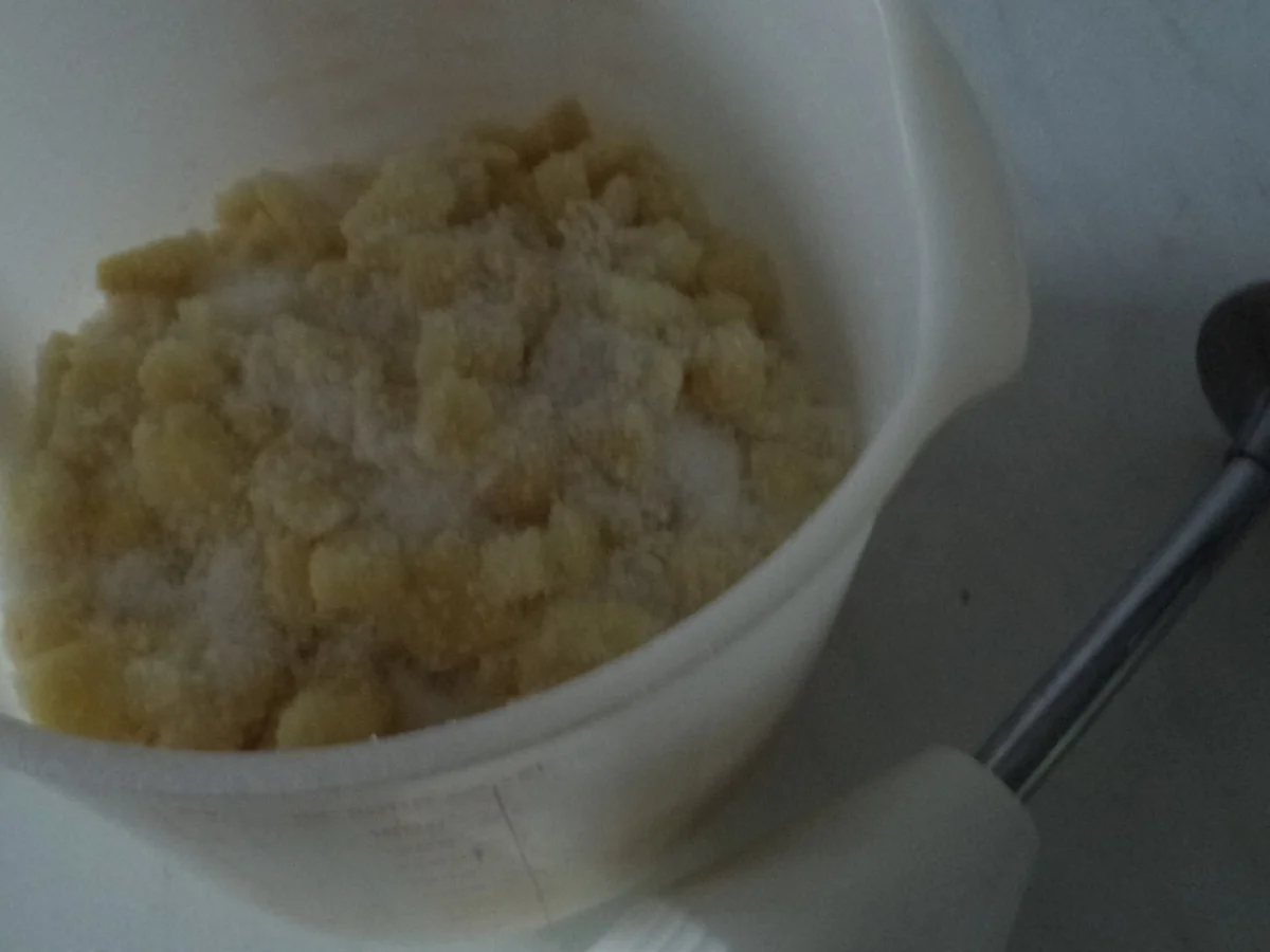 Ingwerpaste - Rezept - Bild Nr. 3