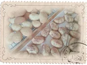 Madeleines mit fruchtiger Note - Rezept