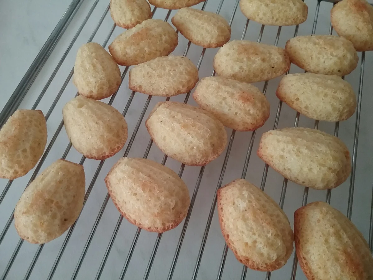 Madeleines mit fruchtiger Note - Rezept - Bild Nr. 4