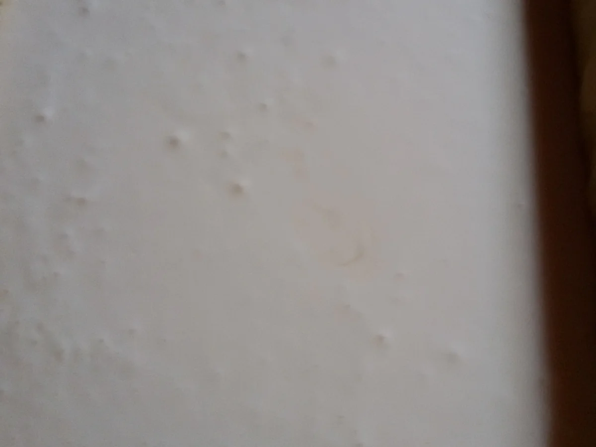 Rezept: Mandarinen Käsekuchen Bild Nr. 3 Mandarinen Käsekuchen - Rezept - Bild Nr. 3