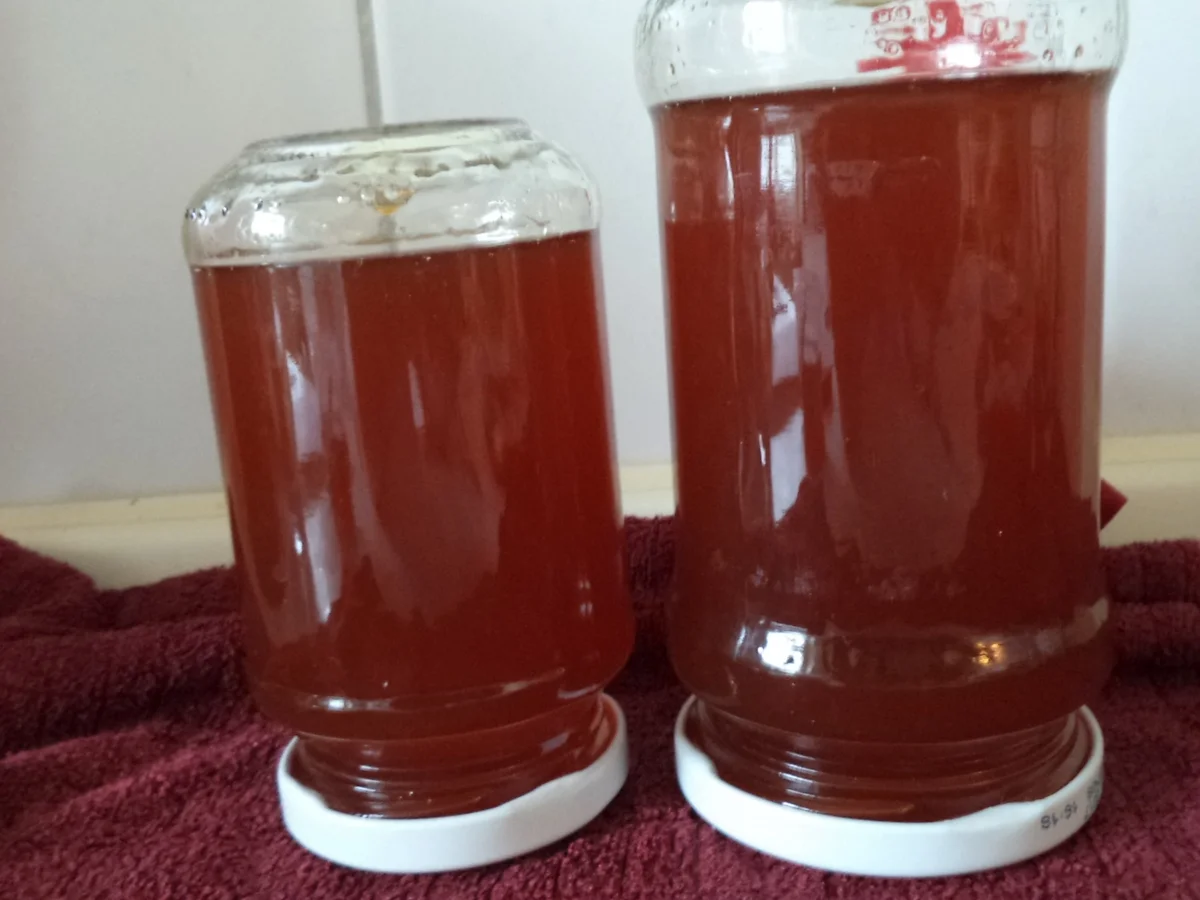 Rezept: Tee-Gelee Orange-Vanille Bild Nr. 3 Tee-Gelee Orange-Vanille - Rezept - Bild Nr. 3