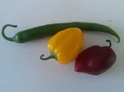 Rezept: Lammlachs ร la Biggi Lammlachs ร la Biggi - Rezept