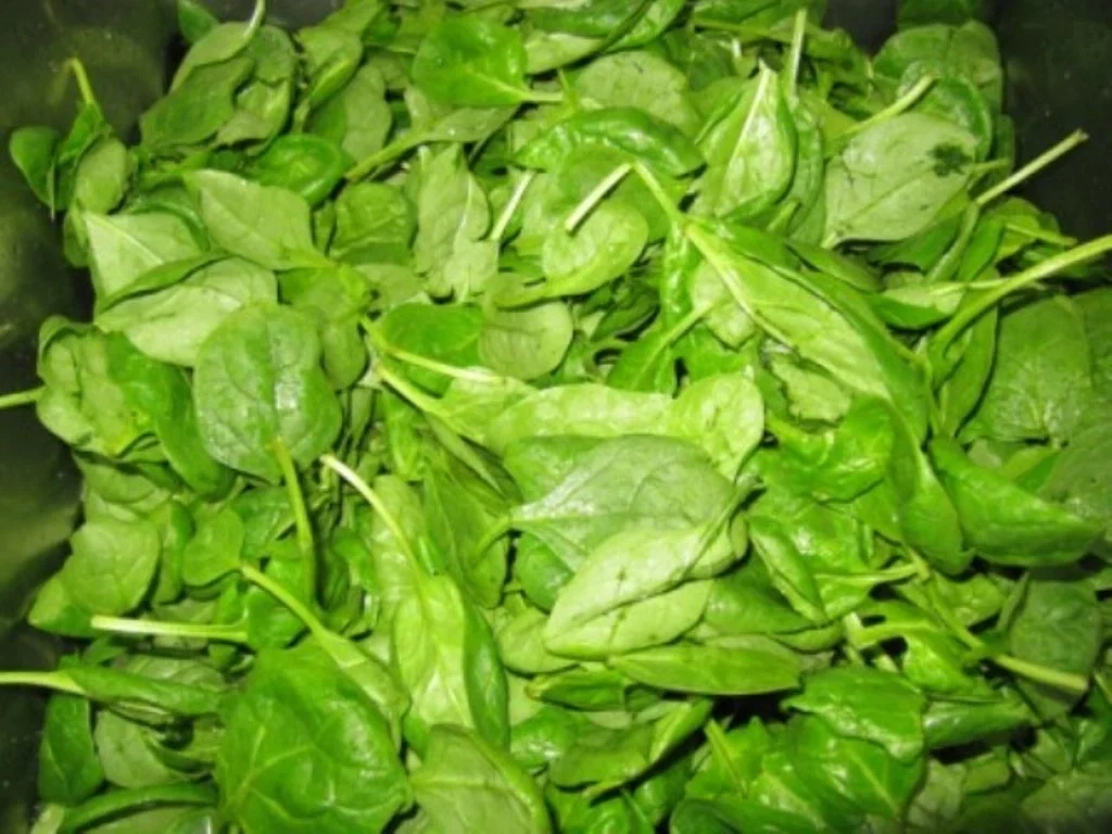 Kalbszunge mit Drillingen und Blattspinat à la Biggi - Rezept - Bild Nr. 9