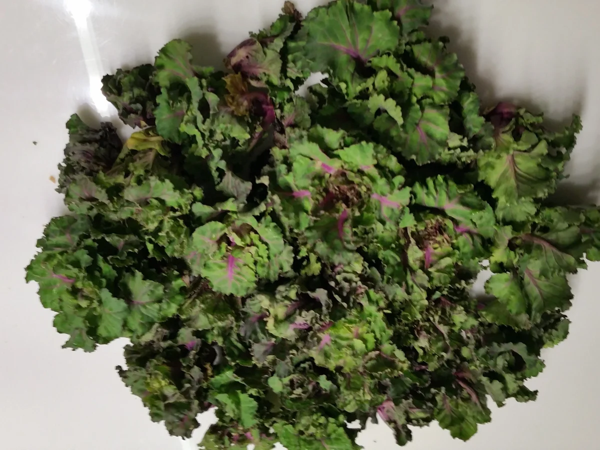 Rezept: Kohlröschen mit Minutensteak Bild Nr. 2 Kohlröschen mit Minutensteak - Rezept - Bild Nr. 2