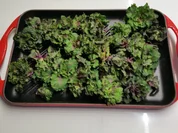 Kohlröschen mit Minutensteak - Rezept