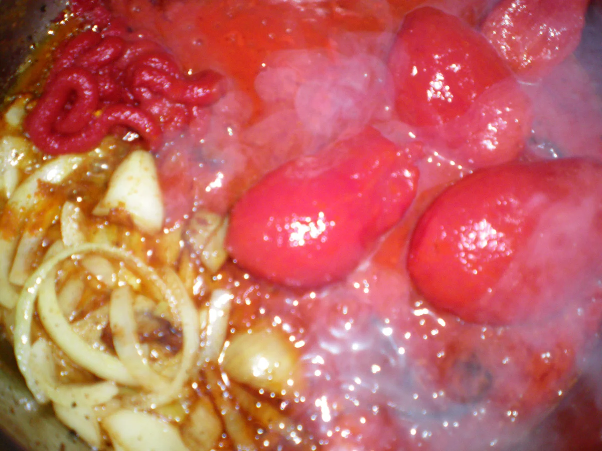  pulkes im hummus kari - Rezept - Bild Nr. 4