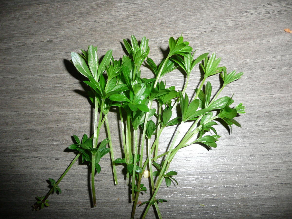Waldmeistereis ein wahrer Frühlingstraum. - Rezept - kochbar.de