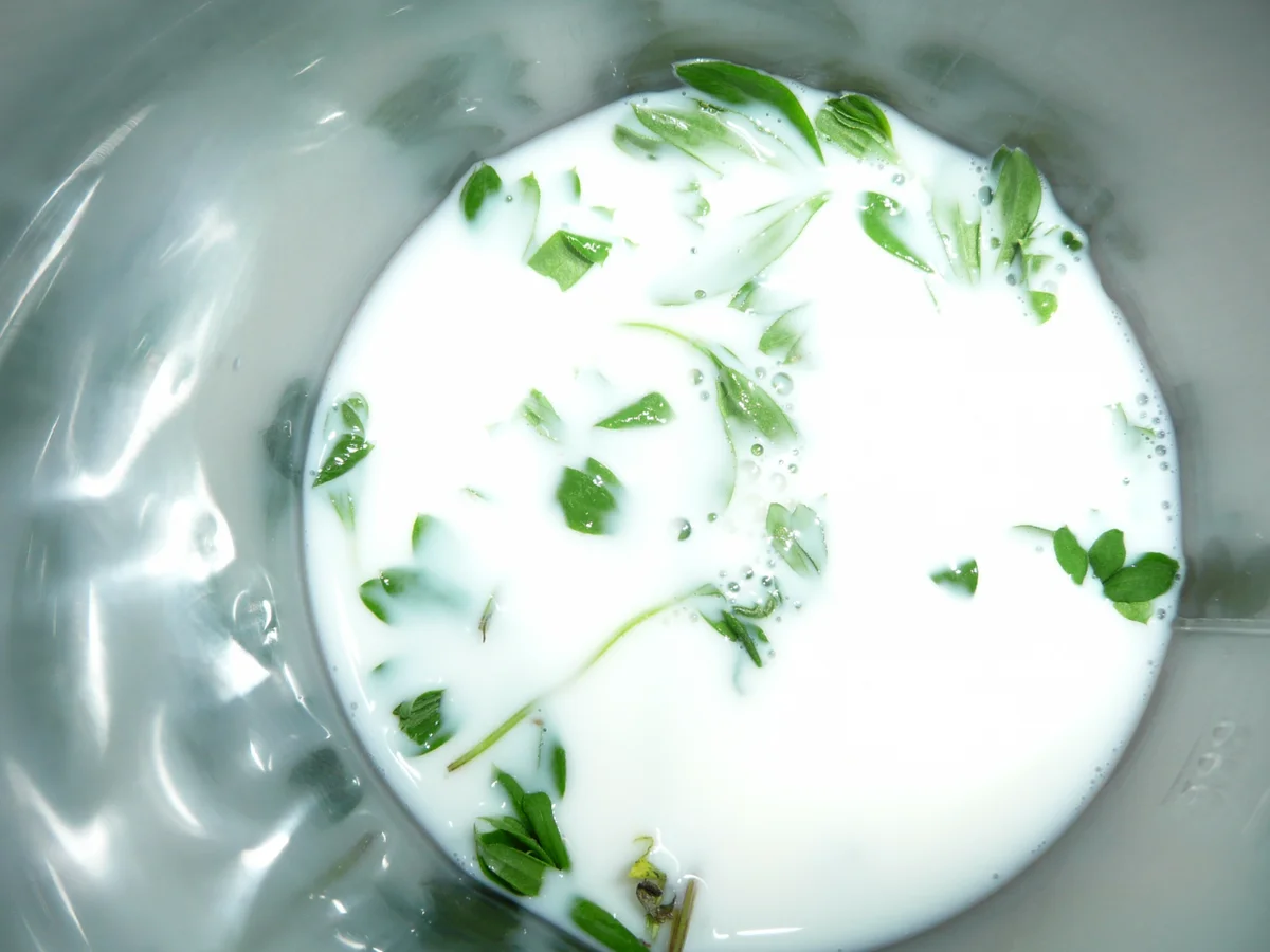 Rezept: Waldmeistereis ein wahrer Frühlingstraum. Bild Nr. 2 Waldmeistereis ein wahrer Frühlingstraum. - Rezept - Bild Nr. 2