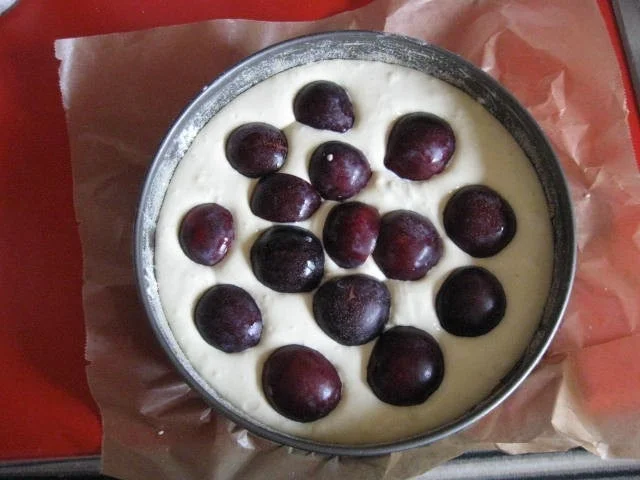 Streuselkuchen mit Pflaumen - Rezept - Bild Nr. 12