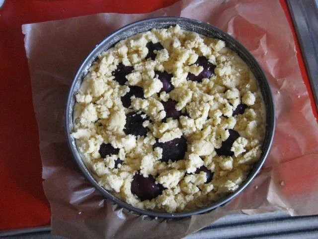 Streuselkuchen mit Pflaumen - Rezept - Bild Nr. 13