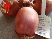 Karottenpüfferchen "Reibekuchen" - Rezept