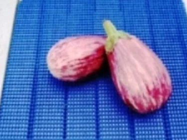 Gemüsemix als kleiner Fisch (Filoteig) - Rezept