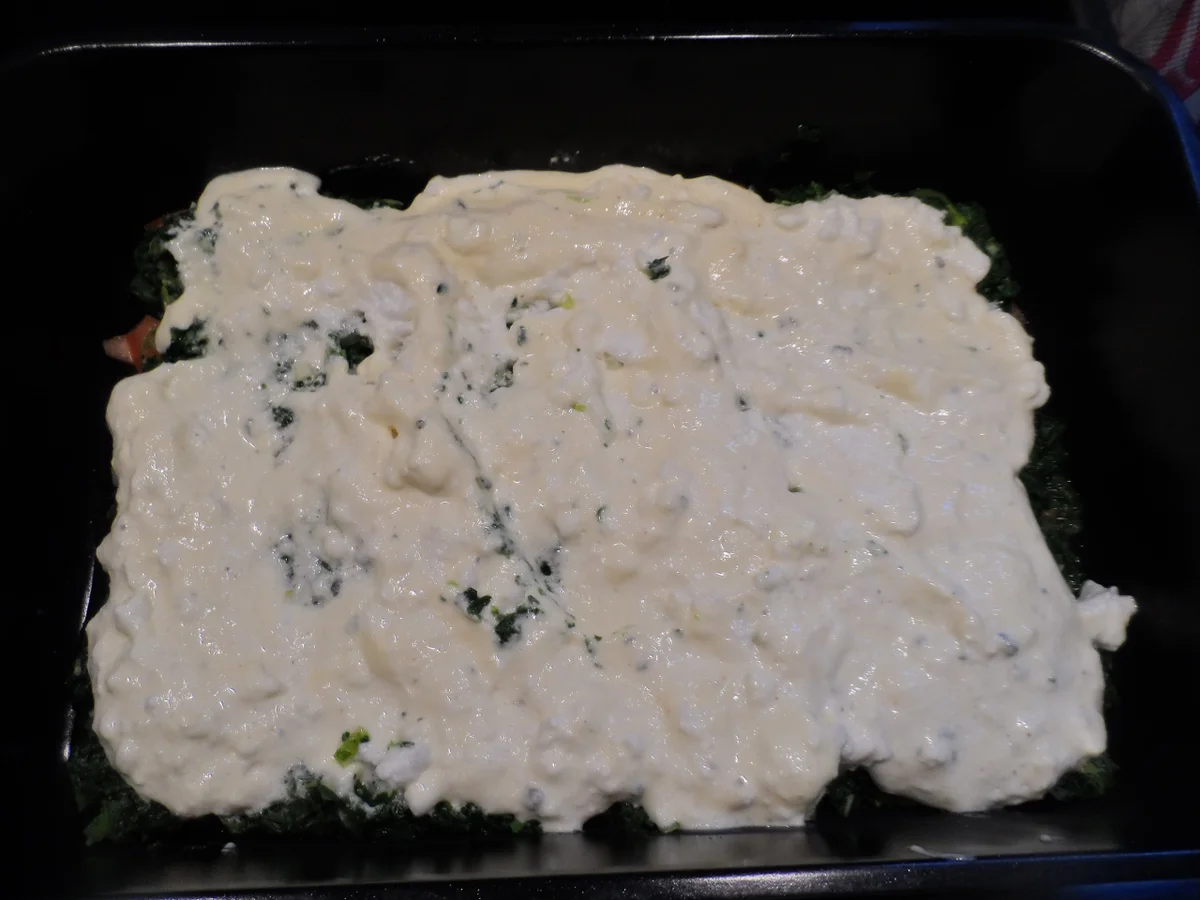BiNe` S SPINAT - BLAUSCHIMMELLASAGNE - Rezept - Bild Nr. 13