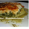 BiNe` S SPINAT - BLAUSCHIMMELLASAGNE - Rezept