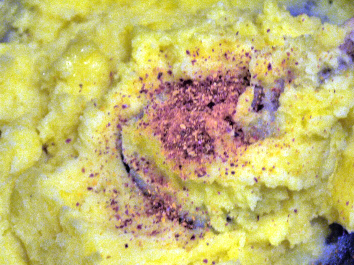 Rezept: Kartoffelpüree mit Buttermilch und Koriander Bild Nr. 7 Kartoffelpüree mit Buttermilch und Koriander - Rezept - Bild Nr. 7