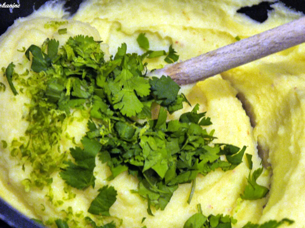 Rezept: Kartoffelpüree mit Buttermilch und Koriander Bild Nr. 8 Kartoffelpüree mit Buttermilch und Koriander - Rezept - Bild Nr. 8