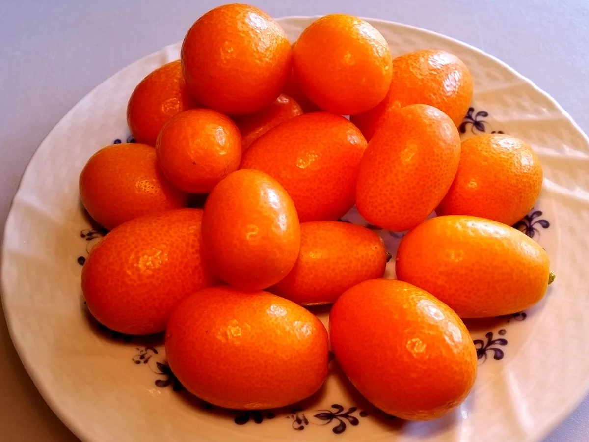 Hühnchen auf fruchtigem Safranreis im Römertopf ... - Rezept - Bild Nr. 2