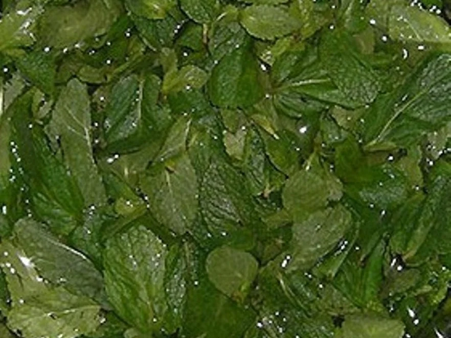 Vanille Minzpudding mit Brubbelei - Rezept - Bild Nr. 2