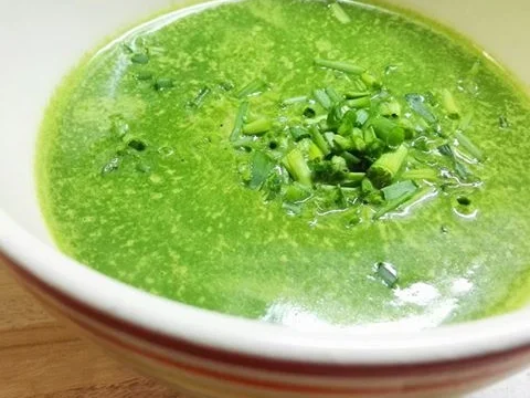 Rezept: Spinat-Kokos-Suppe Spinat-Kokos-Suppe - Rezept