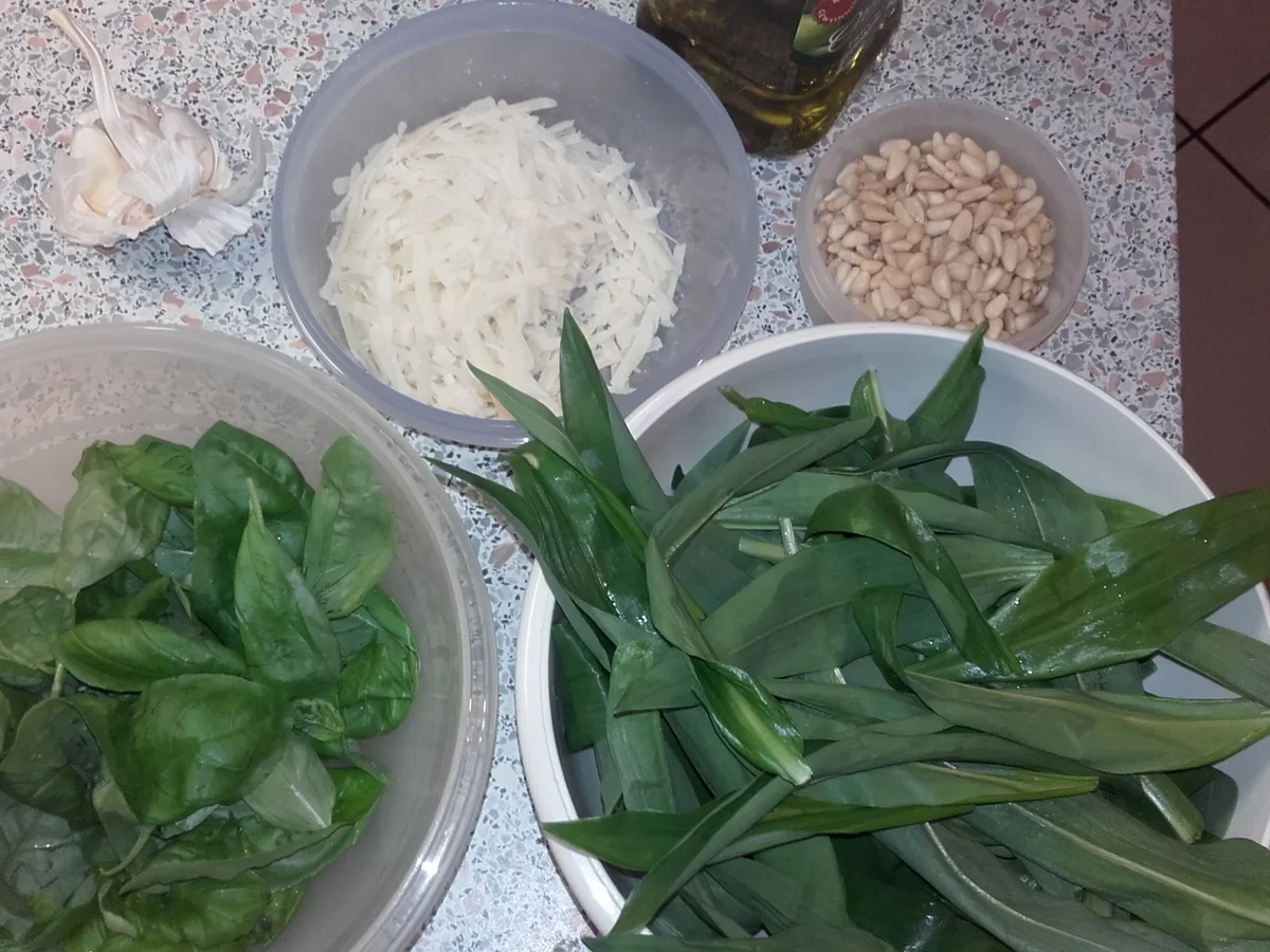 Bärlauch-Basilikum-Pesto - Rezept - Bild Nr. 2