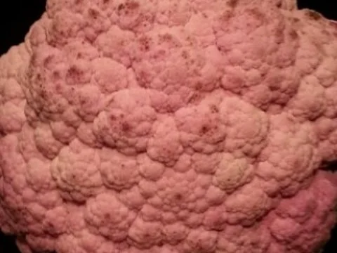 Dreierlei vom Blumenkohl mit Kotelett - Rezept - Bild Nr. 4