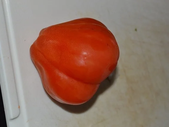 Rezept: Fein rustikale Rote Linsensuppe Bild Nr. 19 Fein rustikale Rote Linsensuppe - Rezept - Bild Nr. 19