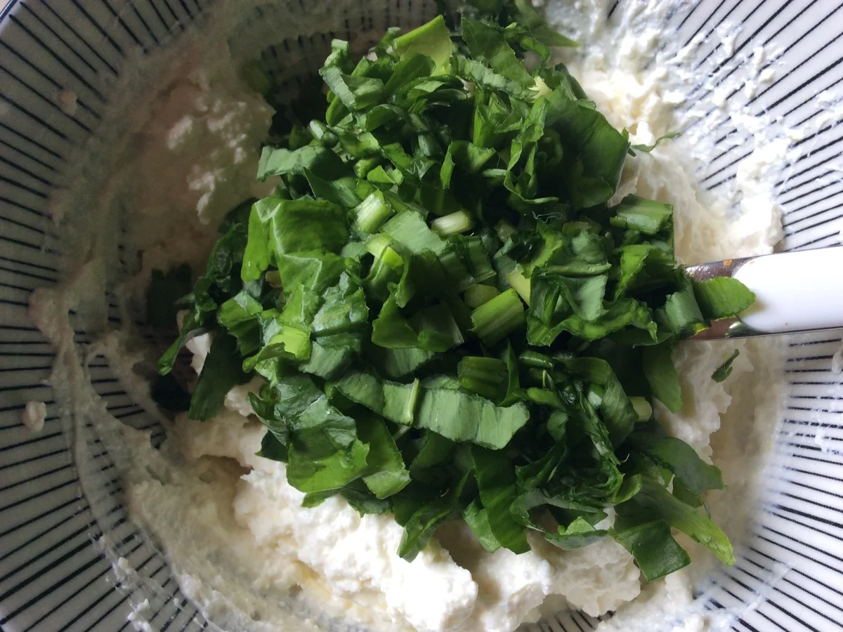 Rezept: Bärlauch Käsecreme Bild Nr. 5 Bärlauch Käsecreme - Rezept - Bild Nr. 5