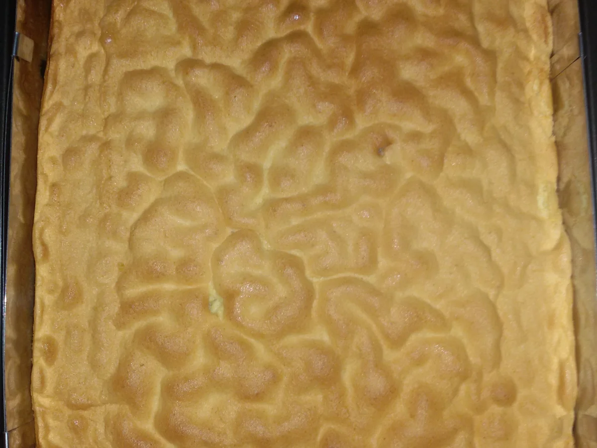 Blechkuchen mit Sahne und Orangenpudding - Rezept