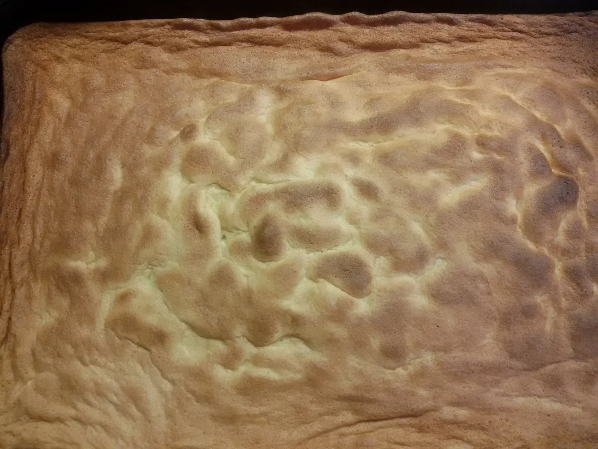 Blechkuchen mit Kirschen und Quark - Rezept - Bild Nr. 2