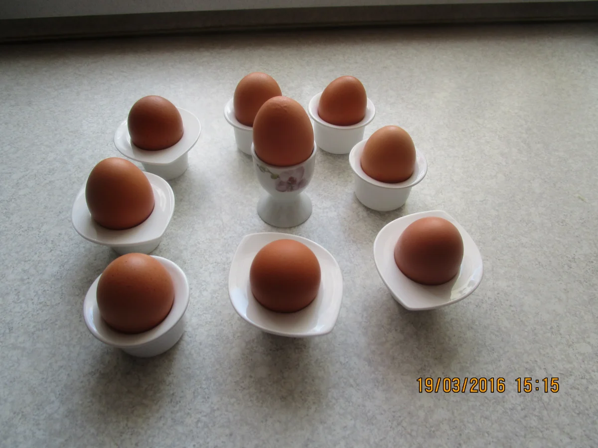 Rezept: Sülzostereier Bild Nr. 3 Sülzostereier - Rezept - Bild Nr. 3