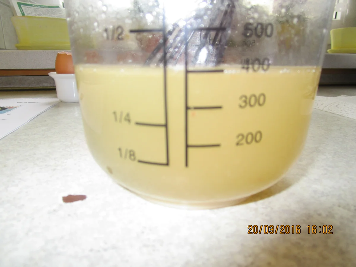 Rezept: Sülzostereier Bild Nr. 19 Sülzostereier - Rezept - Bild Nr. 19