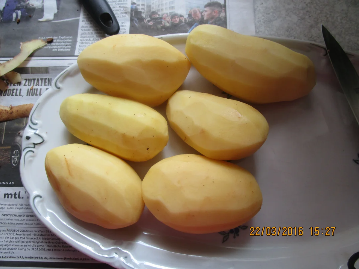 Rezept: Resteessen: Weißkohl-Möhren-Eintopf Bild Nr. 5 Resteessen: Weißkohl-Möhren-Eintopf - Rezept - Bild Nr. 5