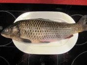 Ganzer Karpfen auf Glas gezogen gegart à la Biggi - Rezept